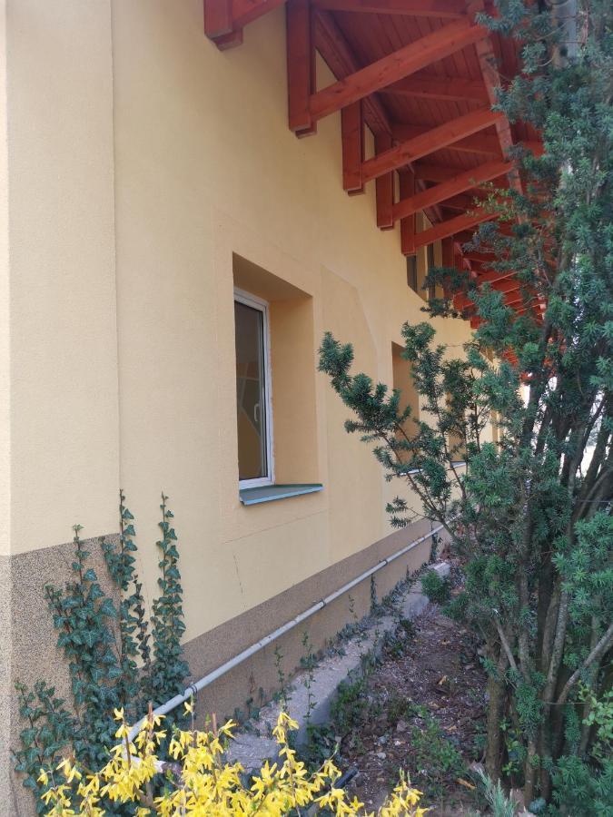 Podlovics Tanya Panzio Apartment Kemecse Ngoại thất bức ảnh